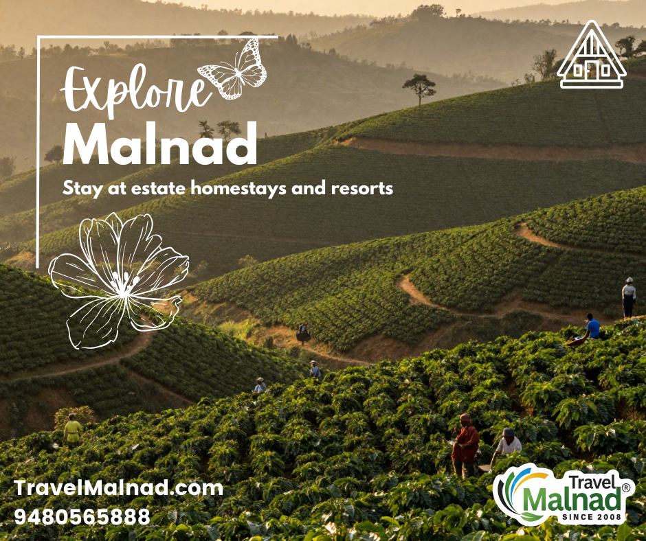 TravelMalnad