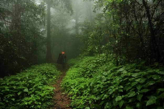 Homestays and Resorts in Karnataka Ã¢â‚¬â€œ South India