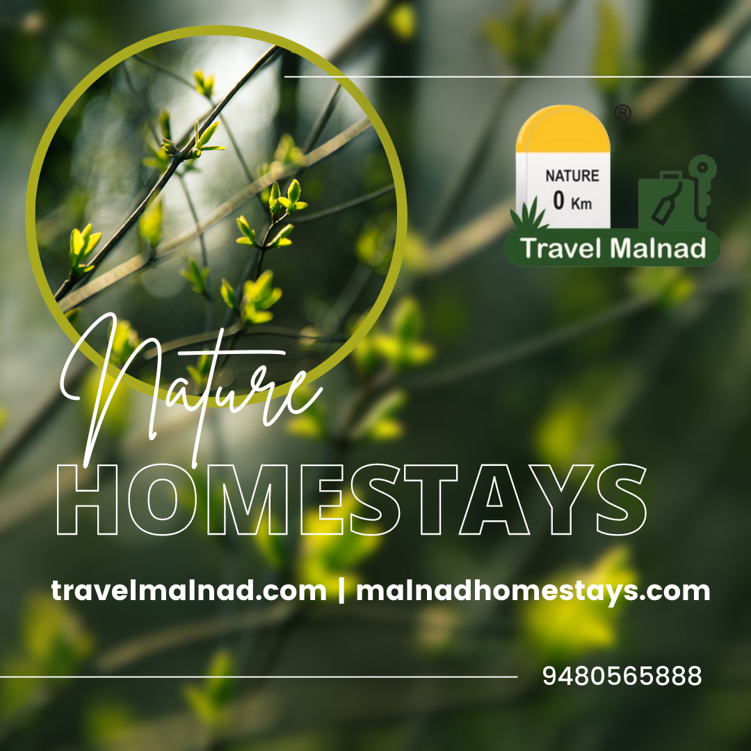 Homestays in Chikmagalur - Weekend Getaway