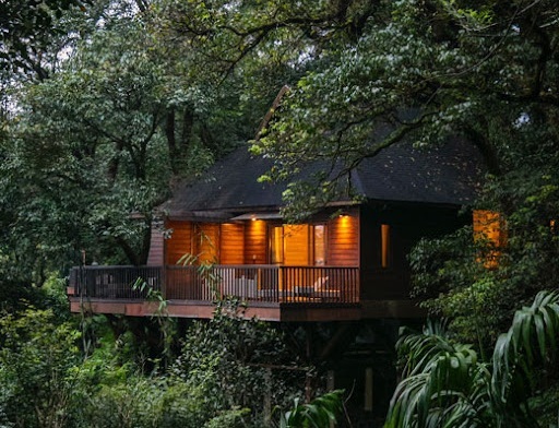 Holiday Packages in Coorg - For a perfect hillstation experience