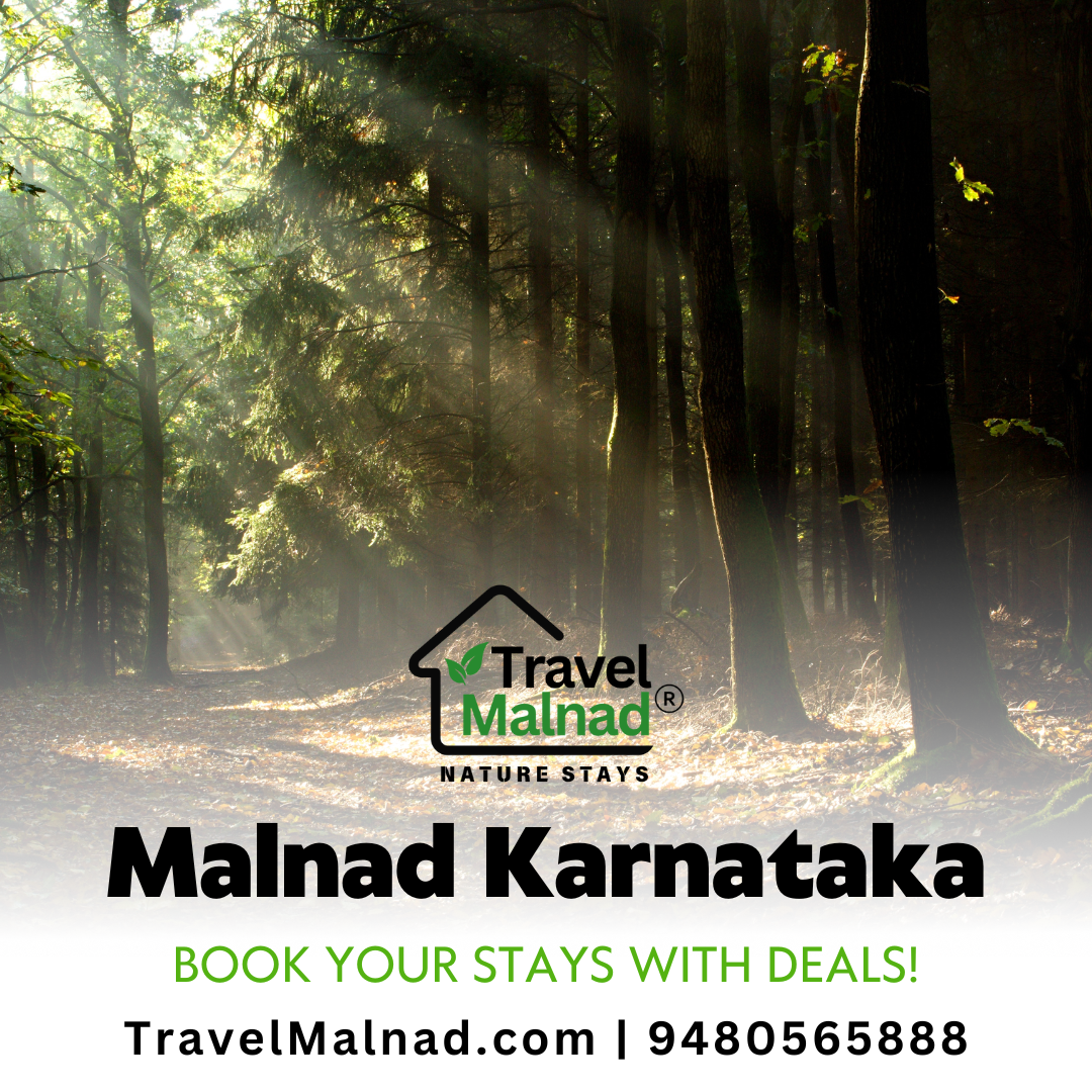 Chikmagalur homestay - Come and enjoy nature