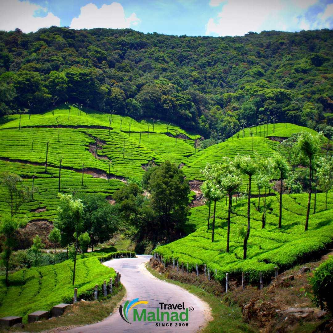Homestays in Thirthahalli - For peaceful location and quality rooms