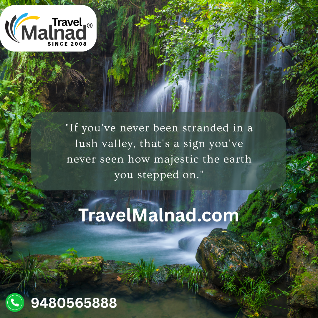 Malnad - greenery everywhere and relaxation guaranteed