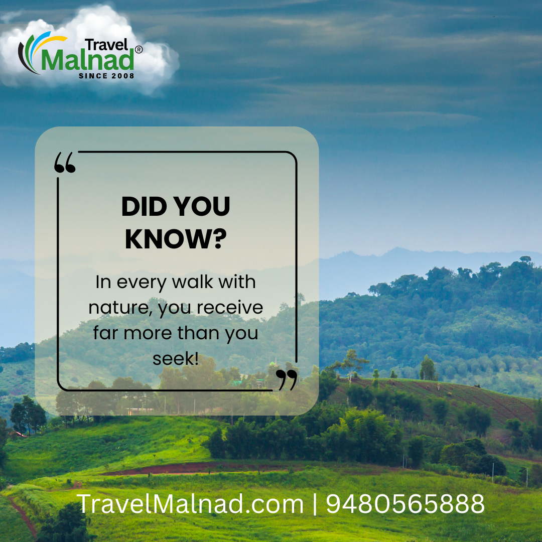Karnataka's must visit getaways in Malnad Region