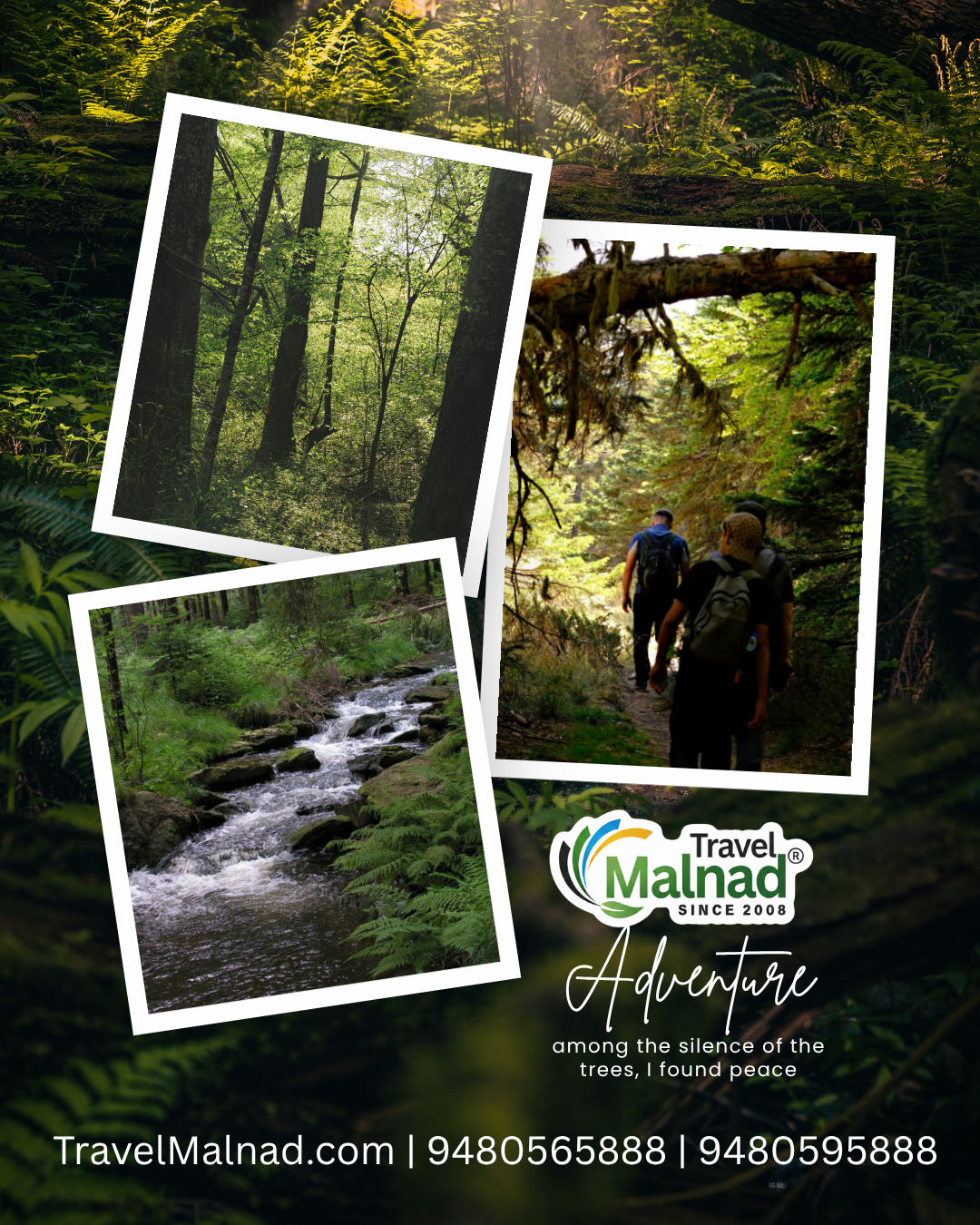 Must do things and places to visit in Malnad for a weekend getaway