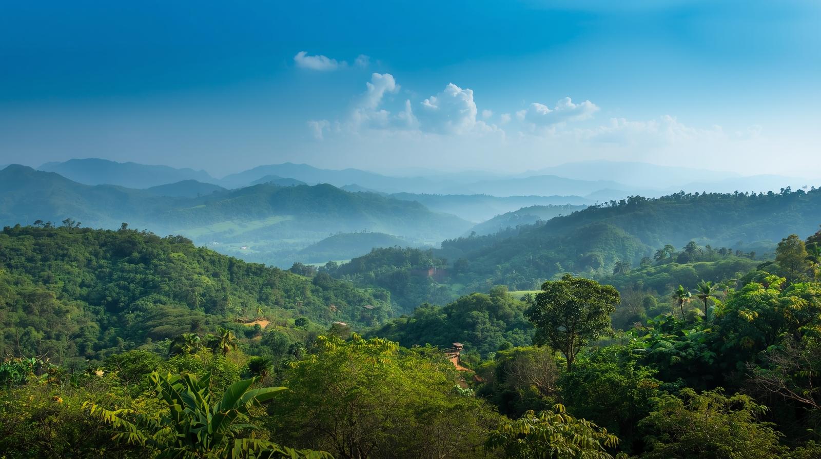 Malnad Misty Mountains Holiday Packages | Plan your Mountains Trip in Karnataka